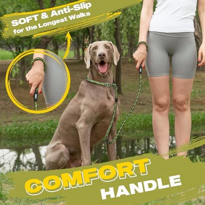 Fida Slip Lead Dog Leash 5 Pack, 6 FT x 1/2" Dog Training Leash - Image 6