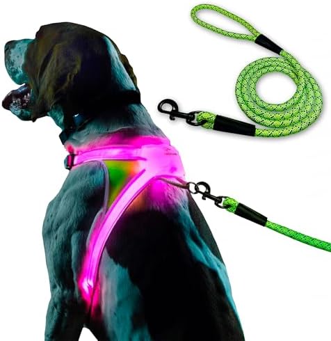 noxgear LightHound Light Up Reflective Dog Harness and Leash by Noxgear