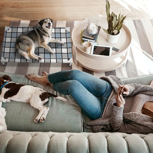 Caghash Elevated Outdoor Raised Dog Bed, Lifted Dog Cot - Image 5