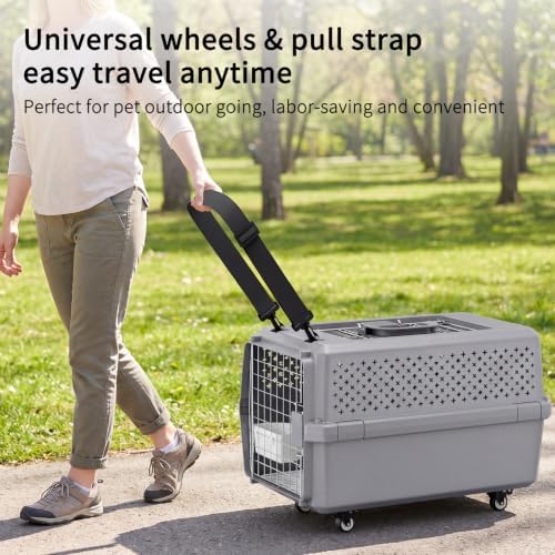 RIZZARI Hard-Sided Elevated Carrier: Rolling Pet Crate Ventilated 25 lbs - Image 3