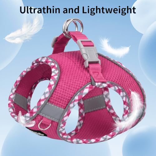 AIITLE Teacup Puppy Harness and Leash - Image 6