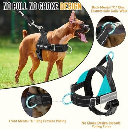SlowTon No Pull Dog Harness and Leash Set - Image 2