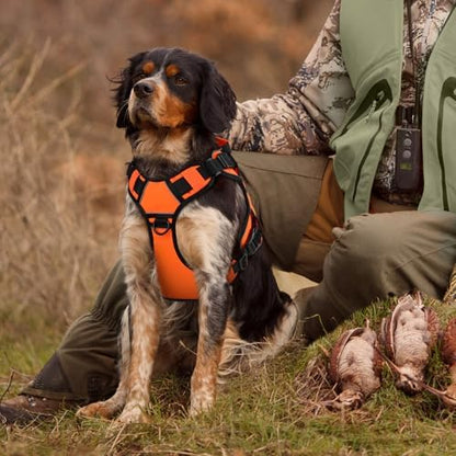 Orange Tactical Dog Harness for Extra Large Dogs, No Pull Dog Harness - Image 6