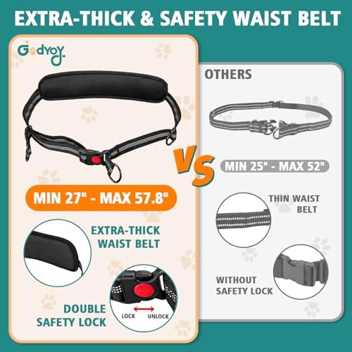 Hands Free Double Dog Leash for 2 Dogs - Image 2