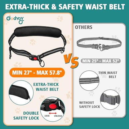 Hands Free Double Dog Leash for 2 Dogs - Image 2