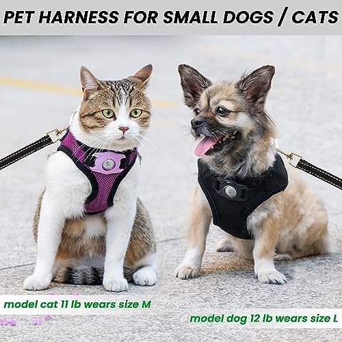 Dog Harness with AirTag Holder & 5 ft Leash Set - Image 4