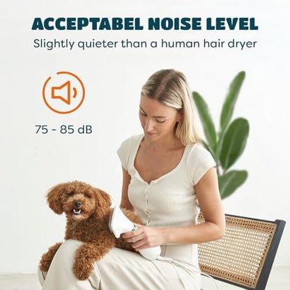 2-in-1 Dog Hair Dryer with Brush - Image 5