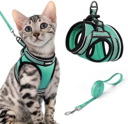 rabbitgoo Cat Harness and Leash Set, Step-in Soft Vest by rabbitgoo