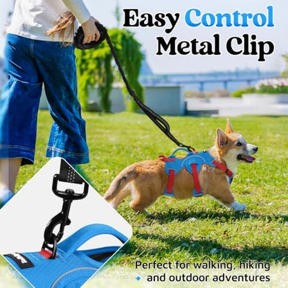 rabbitgoo Escape Proof Dog Harness - Image 5