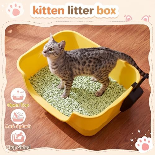Bokon 2 Pack Yellow Green Small Cat Low Entry Litter Box, Kitty Litter Pan - Image 6