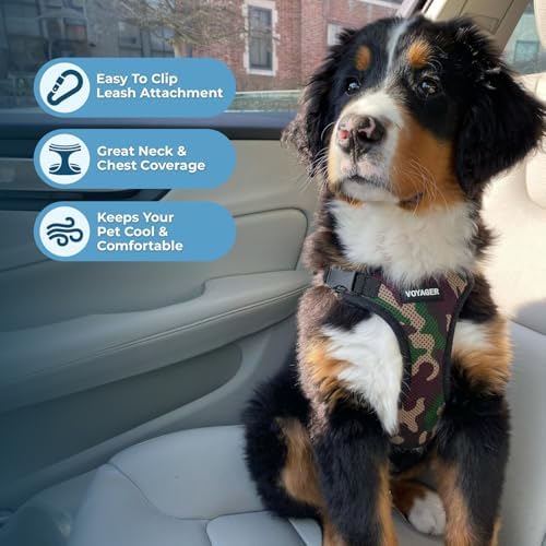 Voyager Step-in Lock Dog Harness - Image 3