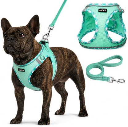 AMTOR Small Dog Harness with Leash Set, No Escape Easy Walk Puppy Harnesses by AMTOR
