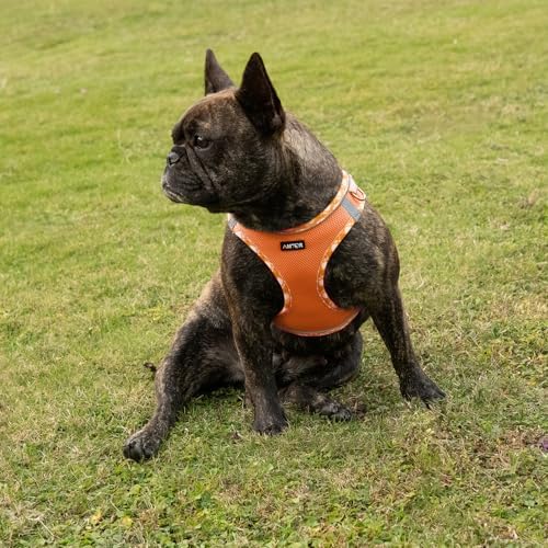 AMTOR Small Dog Harness with Leash Set, No Escape Easy Walk Puppy Harnesses - Image 6