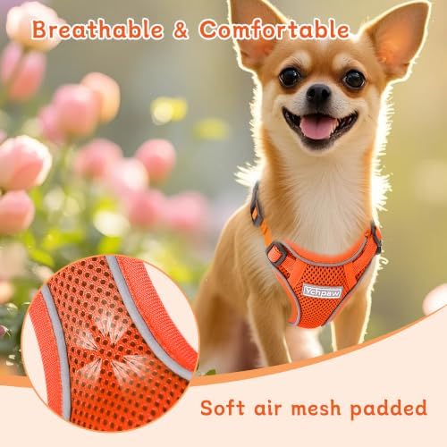 Small Dog Harness and Leash Set, Adjustable Small Sized Pet Vest - Image 5
