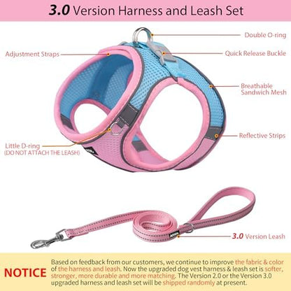 AIITLE Medium Dog Harness and Leash Set, Step-in Puppy Pet Vest - Image 4