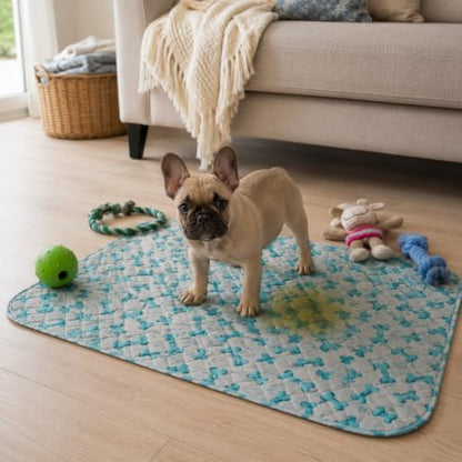 Washable Dog, Puppy and Cat Pee Pads, Leak-Proof - Image 6