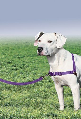 PetSafe Easy Walk Harness, No Pull Dog Harness, Deep Purple - Image 2