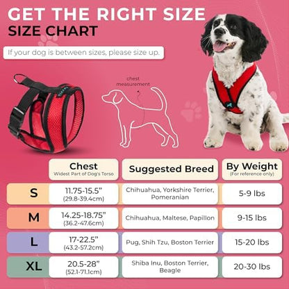 Gooby Comfort X Head-in Dog Harness, Choke-Free - Image 4