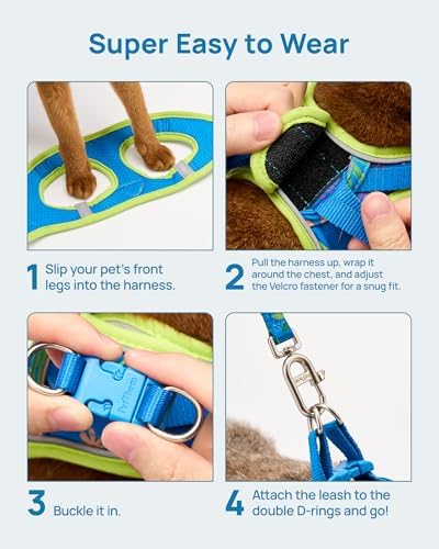 PetThem Upgraded Cat Harness and Leash Set - Image 2