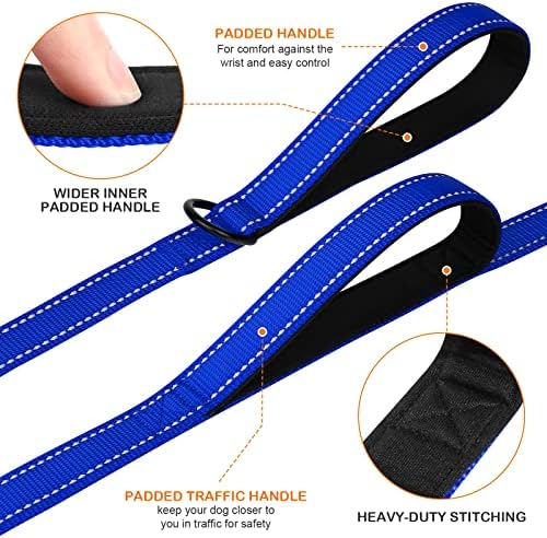 Joytale Dog Leash for Large Dogs that Pull, Double Handle, Royal Blue - Image 2