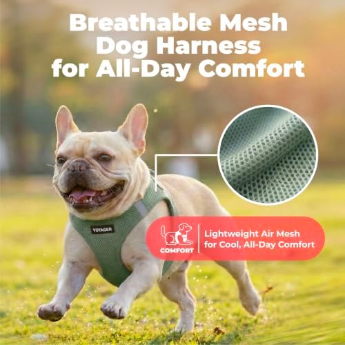 Voyager Step-in Air Dog Vest Harness - Image 5