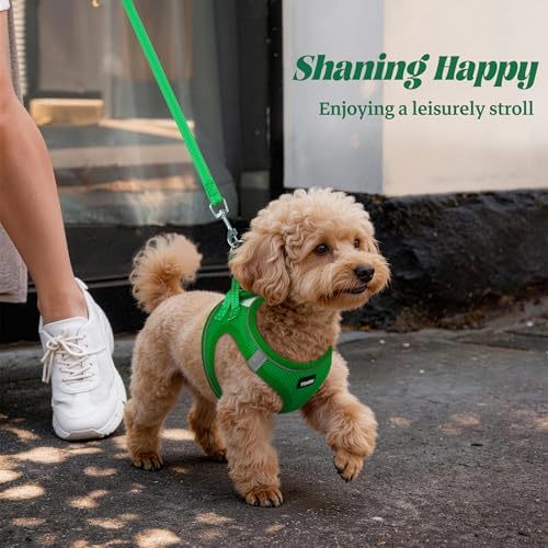 No Pull Dog Puppy Harness and Leash Set Reflective Mesh Vest Large - Image 6