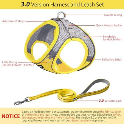 AIITLE Medium Dog Harness and Leash Set, Step-in Puppy Pet Vest - Image 4