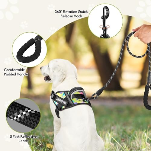 Service Dog Harness and Leash Set, - Image 2