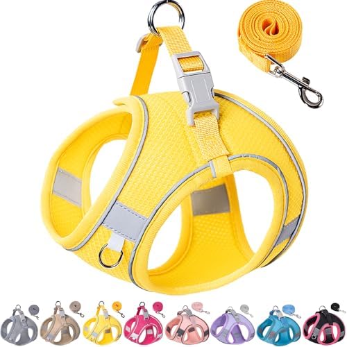 Dog Harness for Small Medium Sized Dog, Puppy Harness and Leash Set Training by Aecllcea