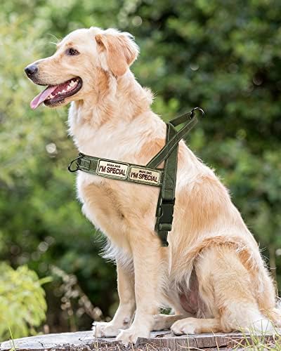 No Pull Dog Harness for Small Medium Large Sized Dogs, Escape Proof Adjustable - Image 6