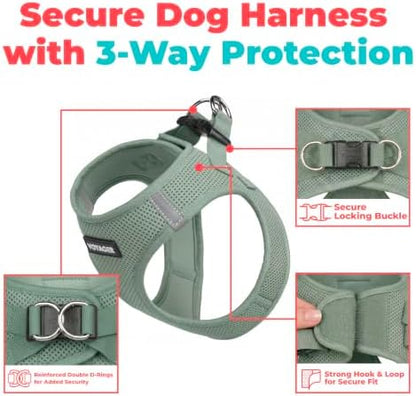 Voyager Step-in Air Dog Vest Harness - Image 2
