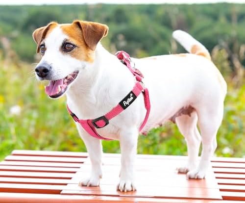 PUPTECK No Pull Dog Harness Small Sized Step-in Adjustable Puppy Vest - Image 6