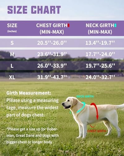 AUROTH Dog Harness and Leash Set - Image 6