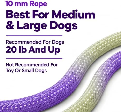 Hands Free Dog Leash, Double Handle Leash 4.5FT Purple-Green - Image 7