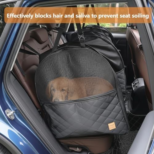 Soft Sided Collapsible Dog Crate - Image 3