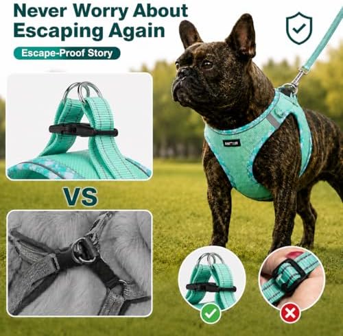 AMTOR Small Dog Harness with Leash Set, No Escape Easy Walk Puppy Harnesses - Image 6