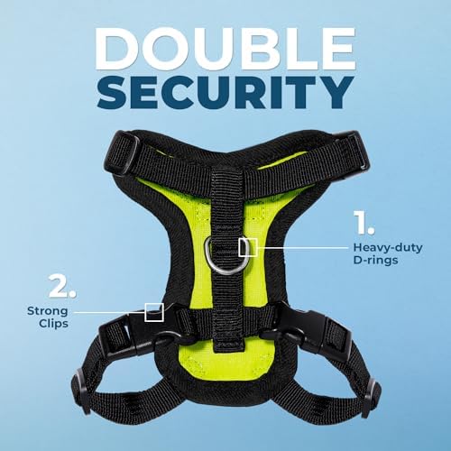 Voyager Step-in Lock Cat Harness & Leash Set - Image 2
