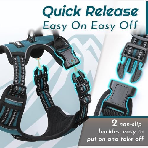 Eagloo Dog Harness for Small Dogs, No Pull Pet Vest - Image 6