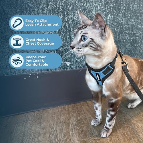 Voyager Step-in Lock Cat Harness & Leash Set - Image 5