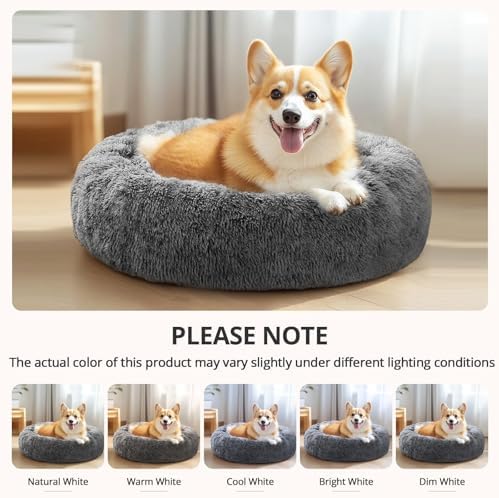 JOLLYVOGUE Calming Dog Bed for Small Dogs - Image 6