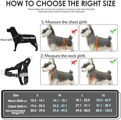 SlowTon No Pull Dog Harness and Leash Set - Image 6