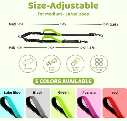 Double Dog Leash - Image 2