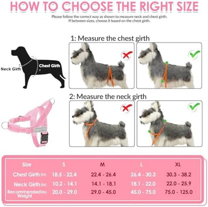SlowTon No Pull Dog Harness and Leash Set - Image 6