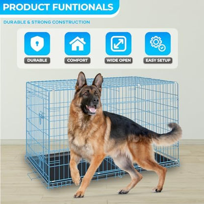 FDW | 42" Foldable Metal Dog Crate | Blue | Cage - Image 2