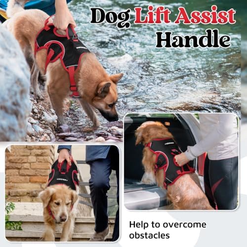 rabbitgoo Escape Proof Dog Harness - Image 4
