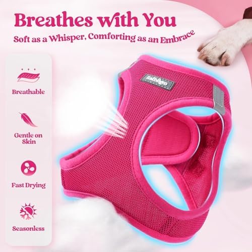 rabbitgoo Dog Harness Small Sized and Leash Set, Step-in Puppy Pet Vest - Image 4