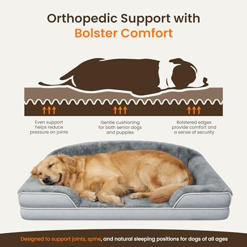 Orthopedic Dog Bed for Small to Medium Dogs - Image 3