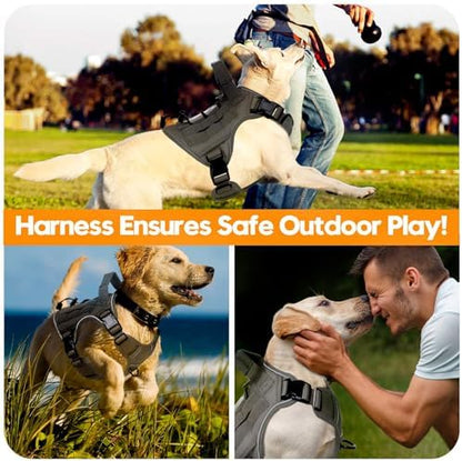 Heavy-Duty Tactical Dog Harness - Image 6