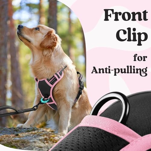 rabbitgoo Dog Harness Medium Sized, Updated Easy On & Off - Image 6