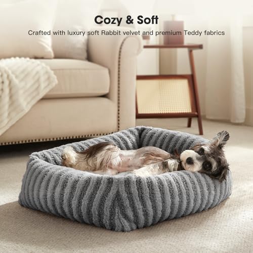 MIXJOY Dog Beds for Small Dogs Cats, Soft Cat Bed for Indoor Cats, Rectangle - Image 3